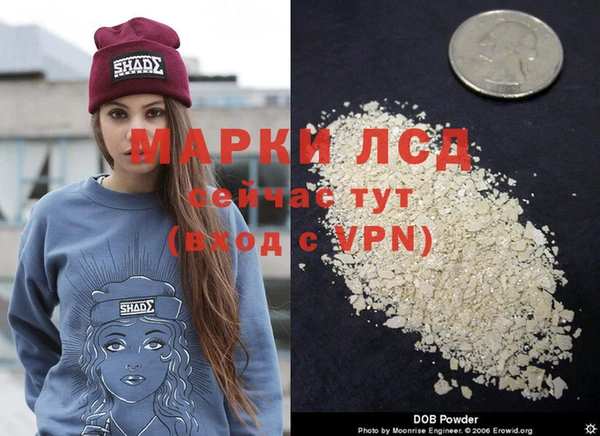ГАЛЛЮЦИНОГЕННЫЕ ГРИБЫ Барнаул