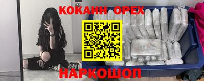 герыч Кингисепп
