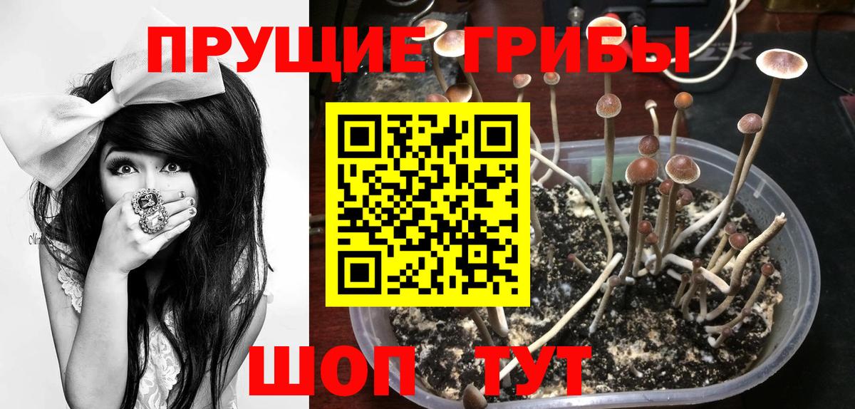 Псилоцибиновые грибы Magic Shrooms  Вход с VPN  закладки  Лабинск 